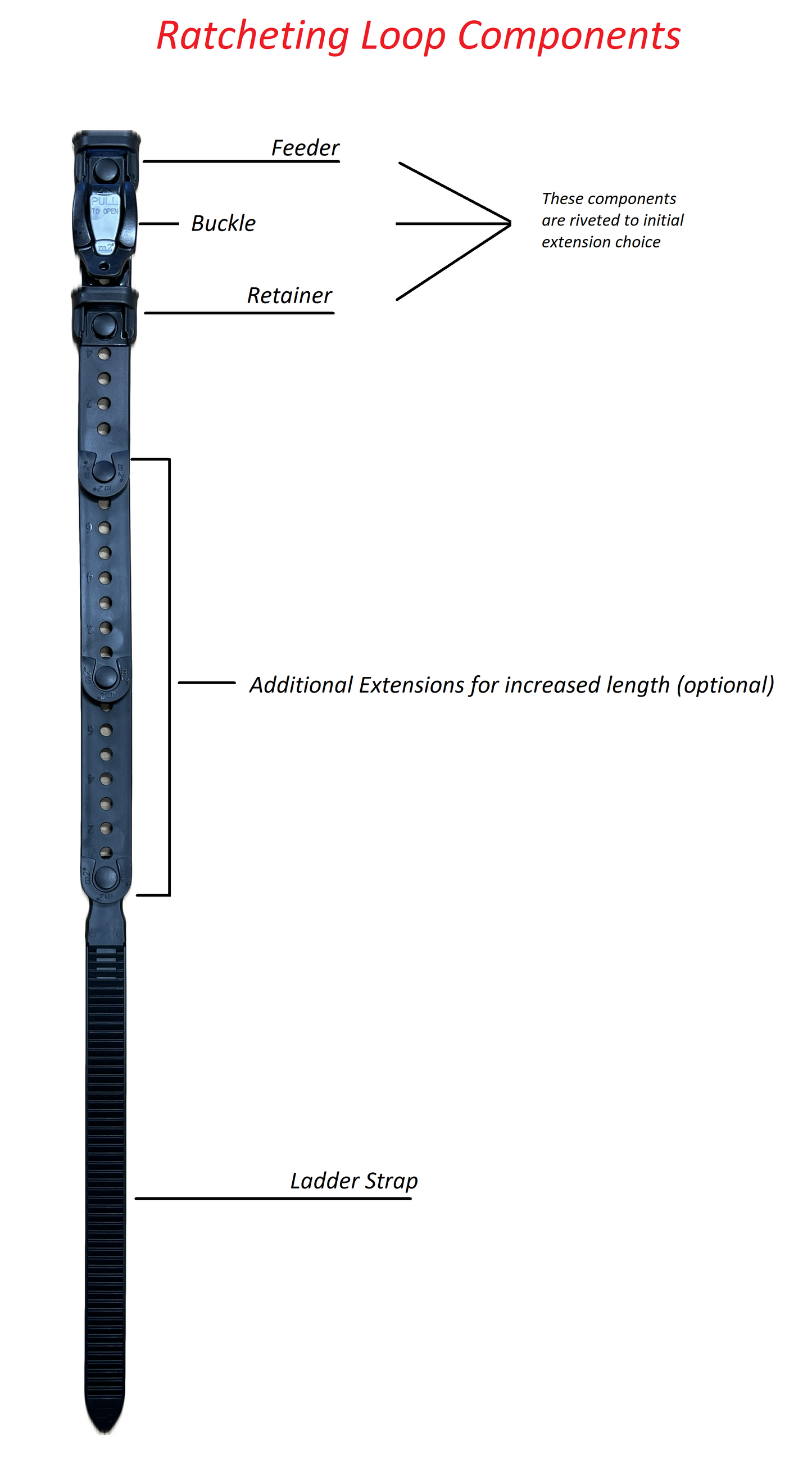 Ratcheting Loops