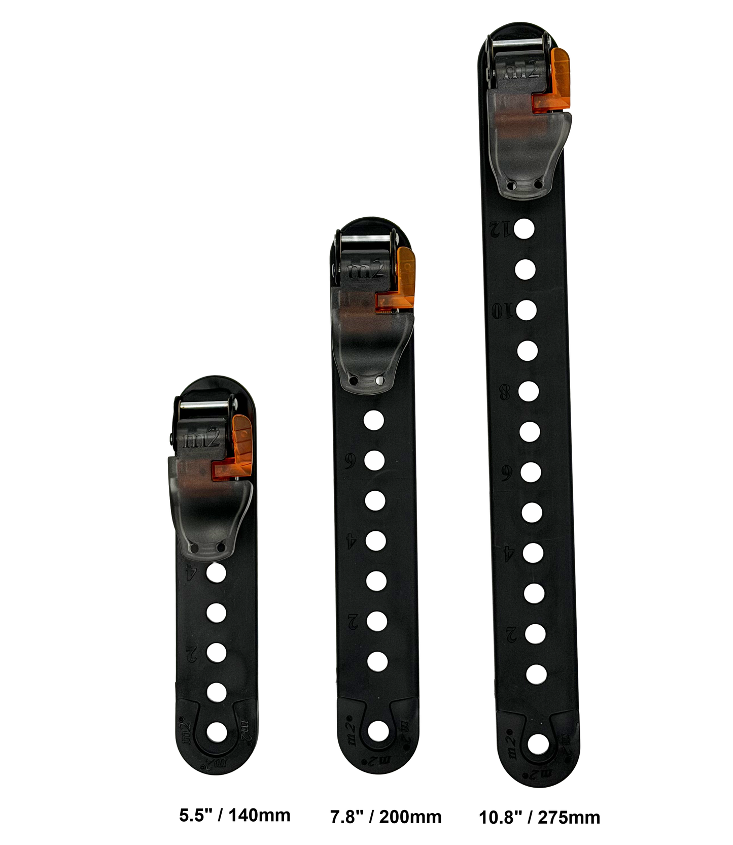 0.70" Buckle riveted to Extension